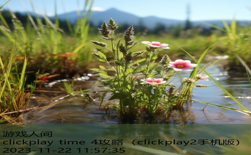 clickplay time 4攻略（clickplay2手机版）