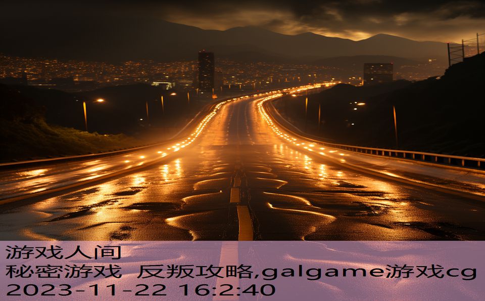 秘密游戏 反叛攻略,galgame游戏cg