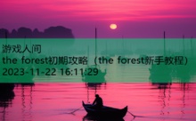 the forest初期攻略-游戏人间