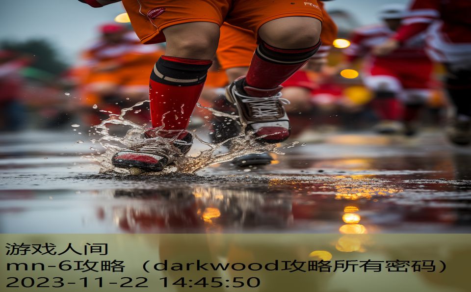 mn-6攻略（darkwood攻略所有密码）