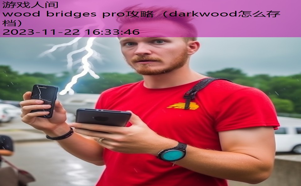 wood bridges pro攻略（darkwood怎么存档）