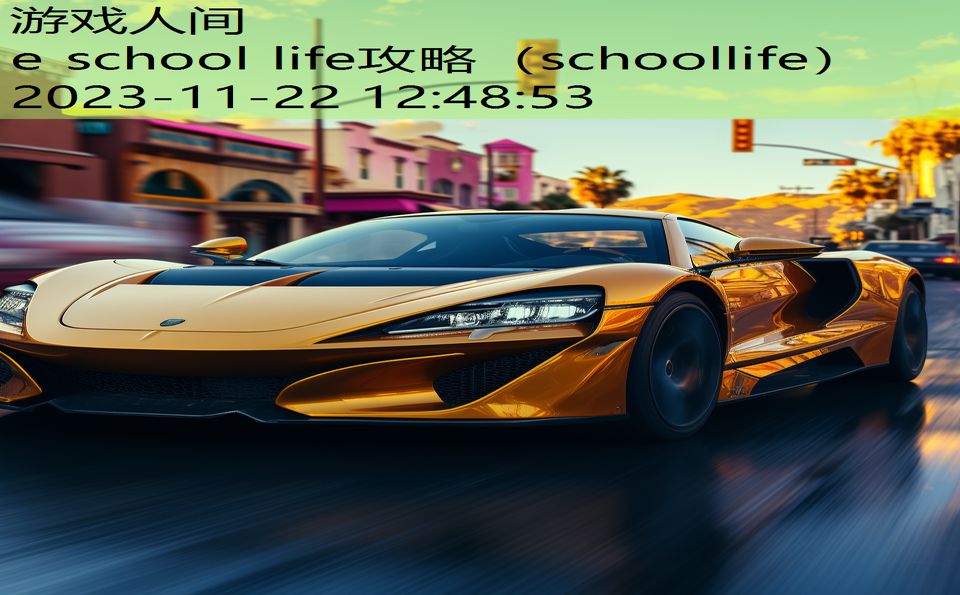 e school life攻略（schoollife）