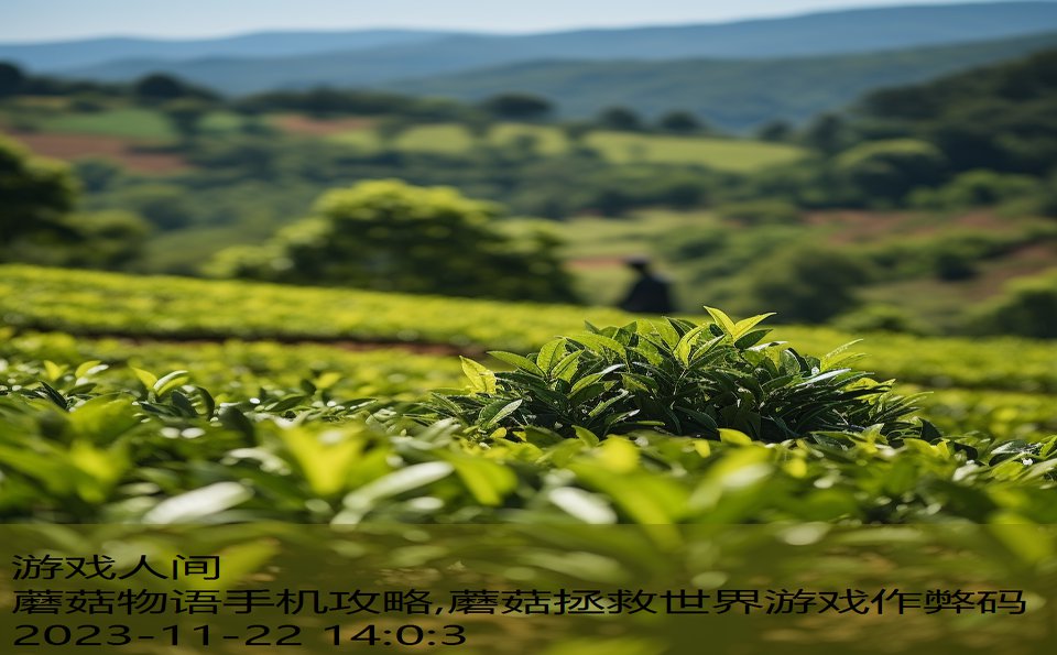 蘑菇物语手机攻略,蘑菇拯救世界游戏作弊码