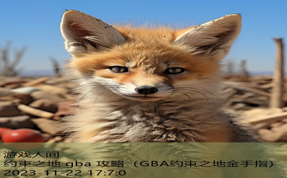 约束之地 gba 攻略（GBA约束之地金手指）