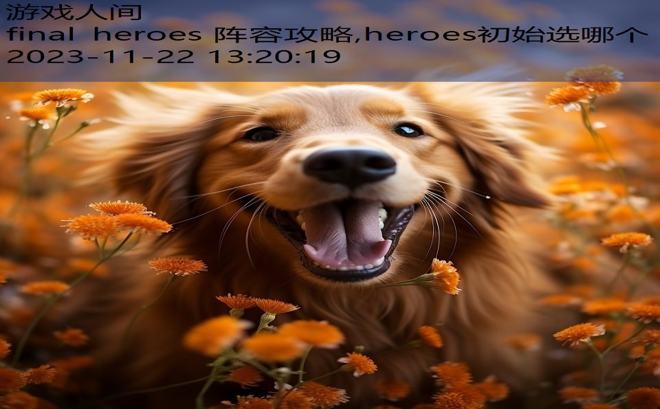 final heroes 阵容攻略,heroes初始选哪个