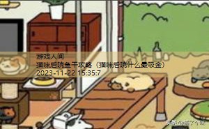 猫咪后院鱼干攻略