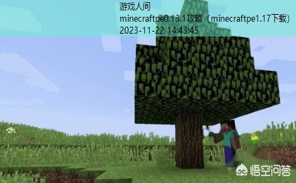 minecraft1.13