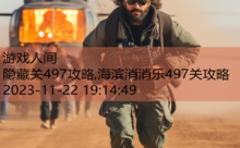 隐藏关497攻略,海滨消消乐497关攻略-游戏人间