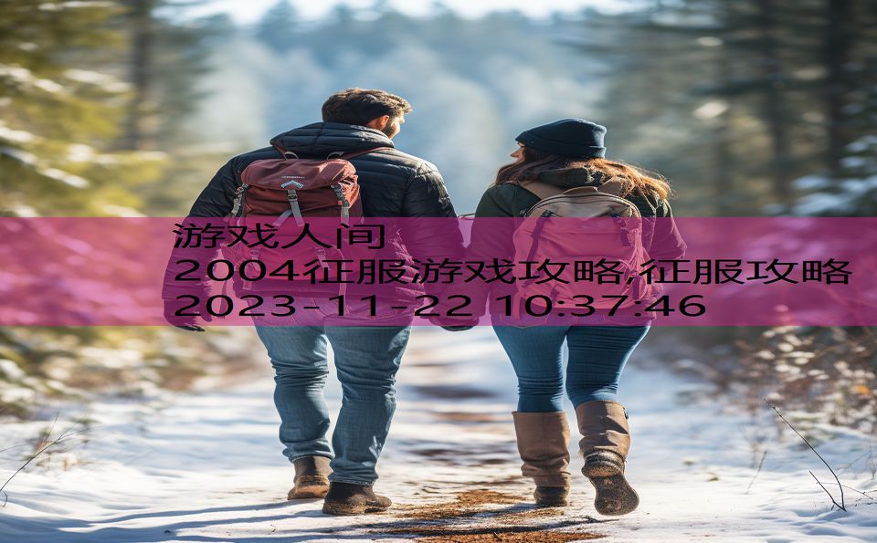 2004征服游戏攻略,征服攻略