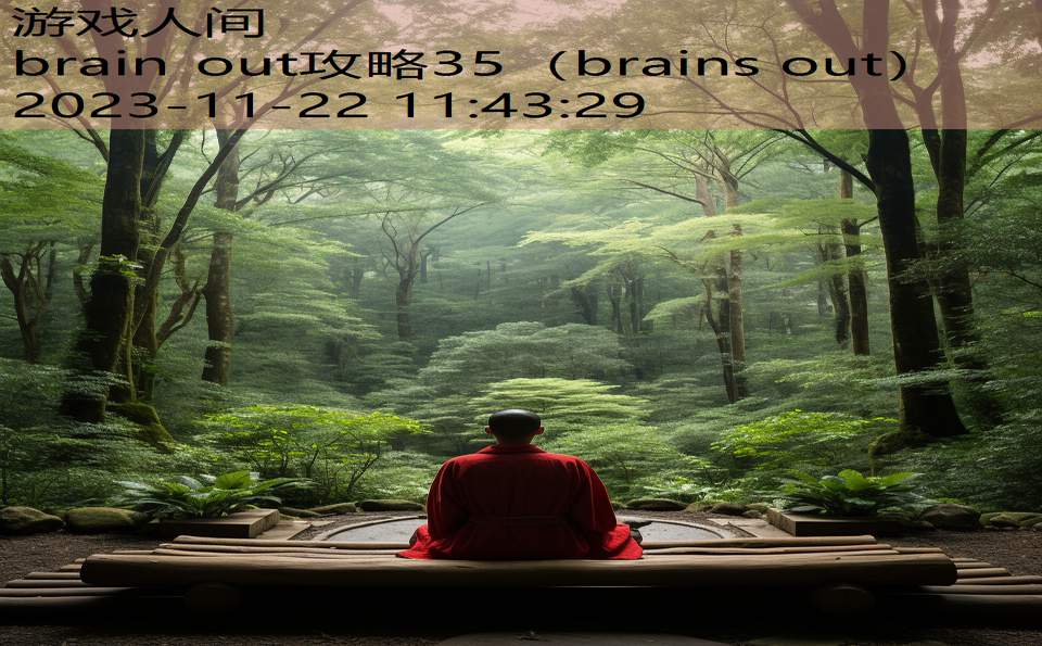 brain out攻略35（brains out）