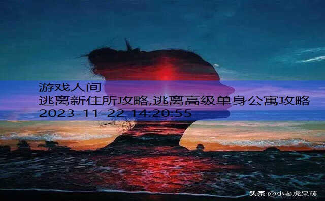 自己去找一什么新的住所