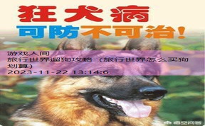 旅行世界欧洲犬概率为0