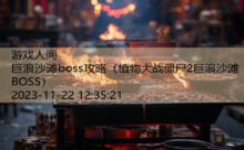 巨浪沙滩boss攻略-游戏人间