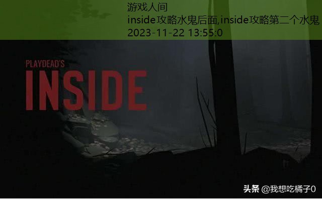 inside攻略水鬼后面