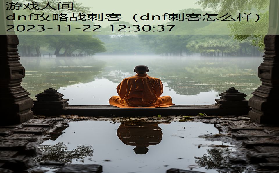 dnf攻略战刺客（dnf刺客怎么样）