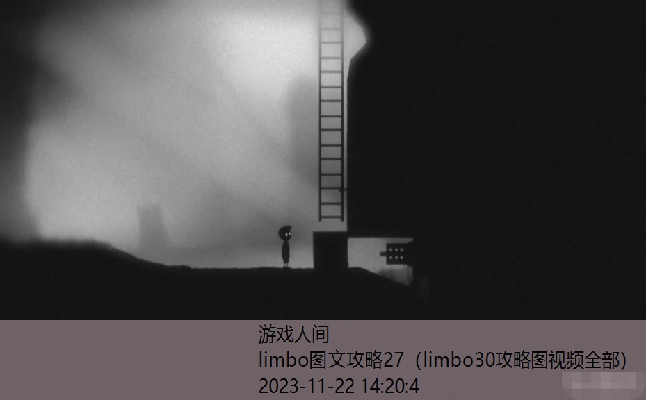 limbo第九关怎么过