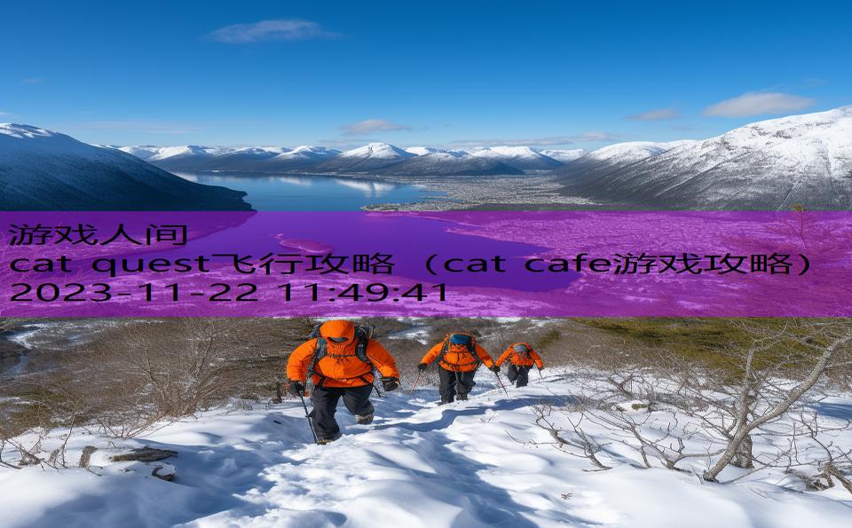 cat quest飞行攻略（cat cafe游戏攻略）