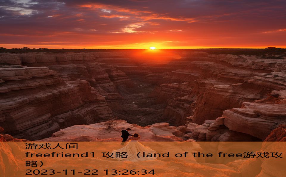 freefriend1 攻略（land of the free游戏攻略）