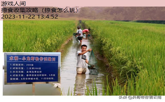 掠食流程