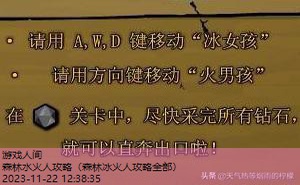 森林冰火人攻略全部