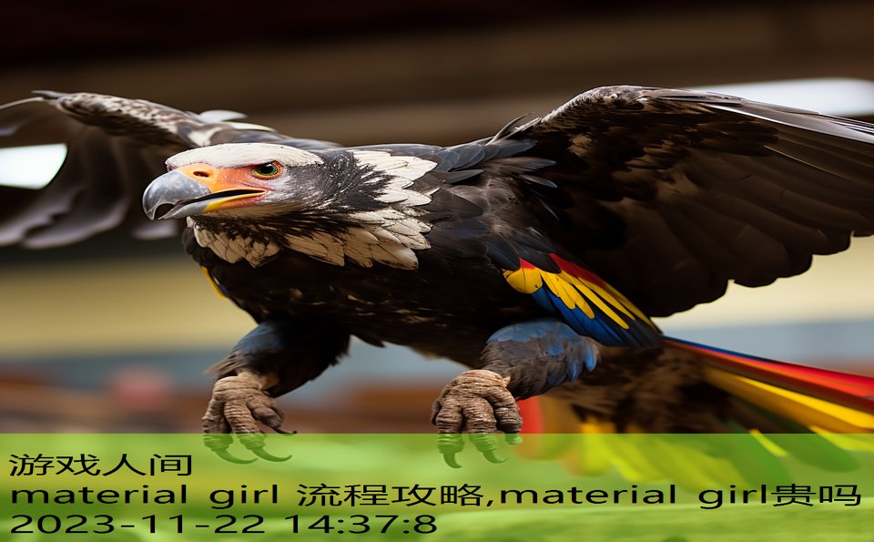 material girl 流程攻略,material girl贵吗