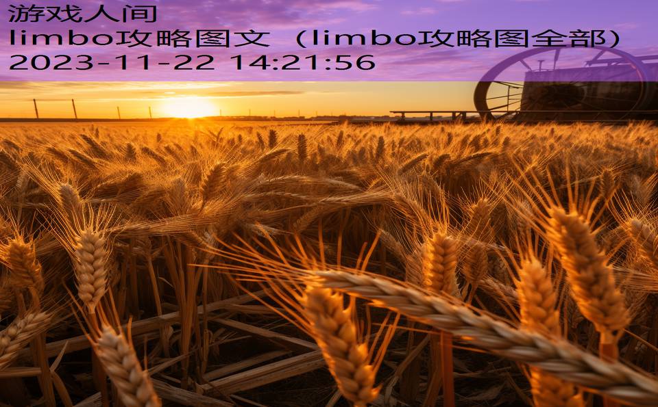 limbo攻略图文（limbo攻略图全部）