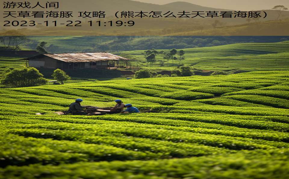 天草看海豚 攻略（熊本怎么去天草看海豚）