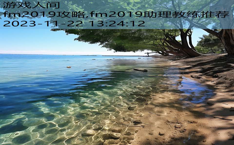 fm2019攻略,fm2019助理教练推荐