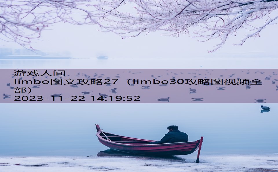 limbo图文攻略27（limbo30攻略图视频全部）