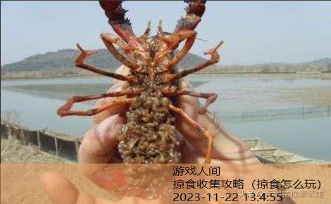 掠食流程