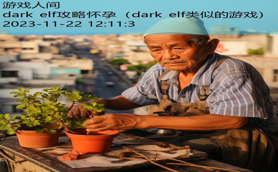 dark elf攻略怀孕（dark elf类似的游戏）