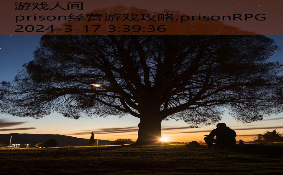 prison经营游戏攻略,prisonRPG