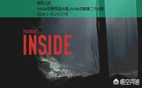 inside攻略视频水鬼