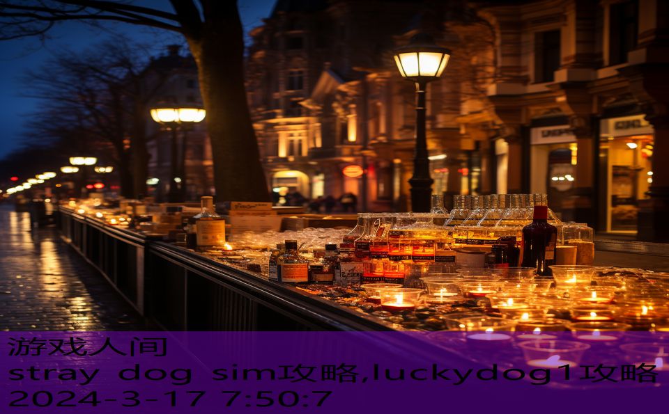 stray dog sim攻略,luckydog1攻略