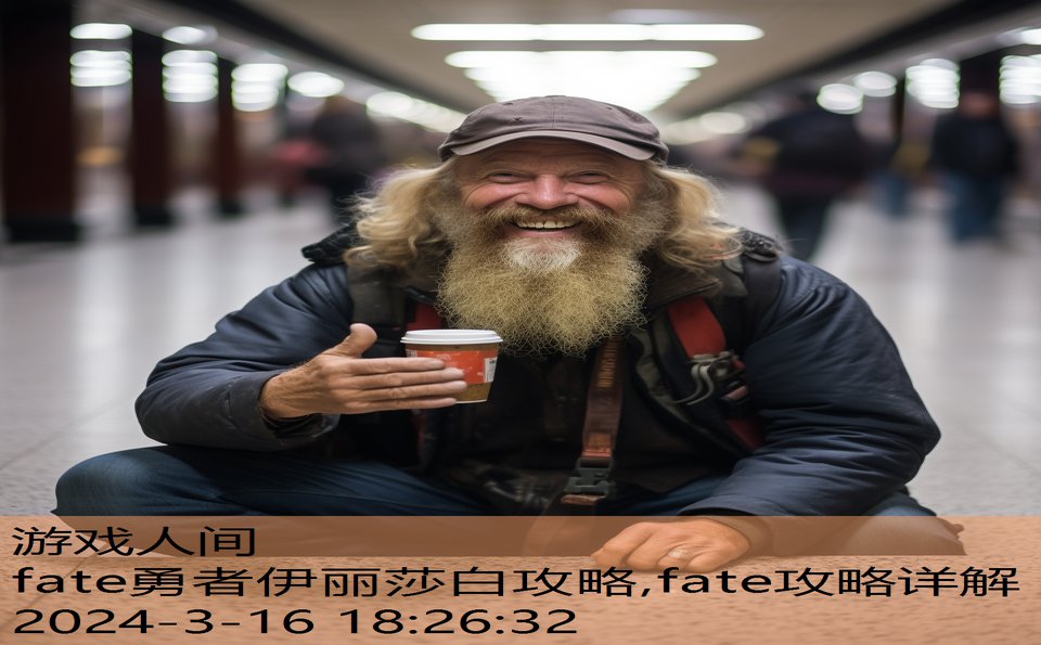 fate勇者伊丽莎白攻略,fate攻略详解