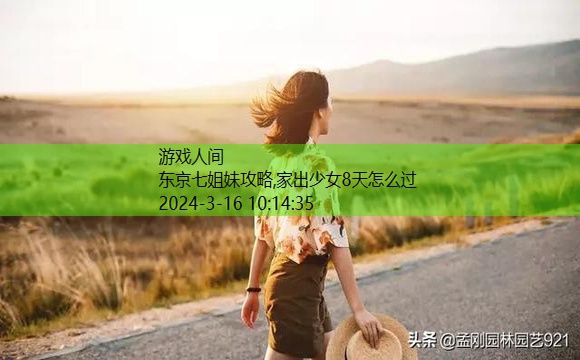 家出少女第八天攻略