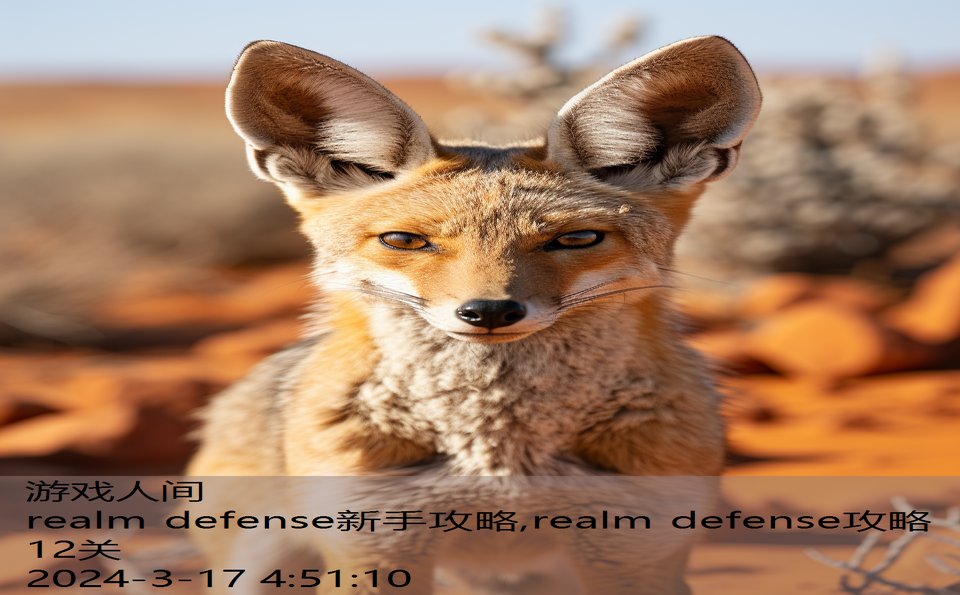 realm defense新手攻略,realm defense攻略12关