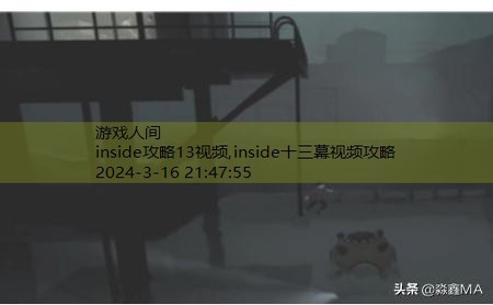 inside水里攻略