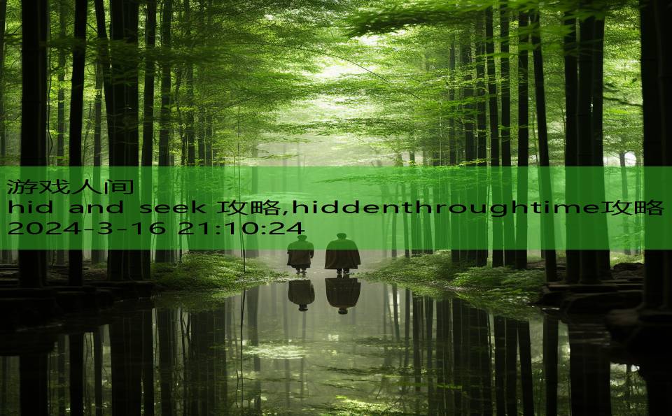 hid and seek 攻略,hiddenthroughtime攻略