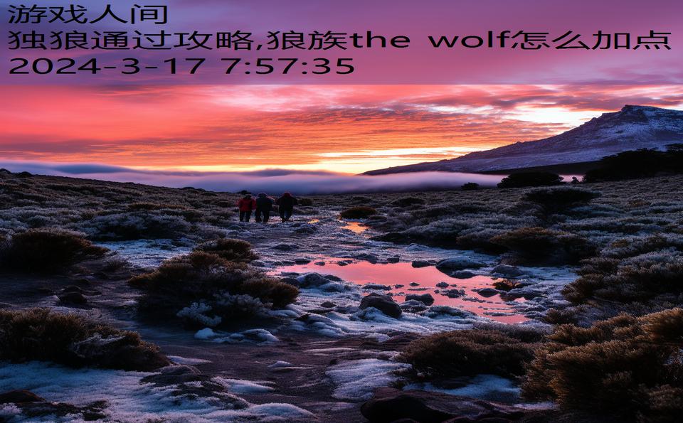 独狼通过攻略,狼族the wolf怎么加点