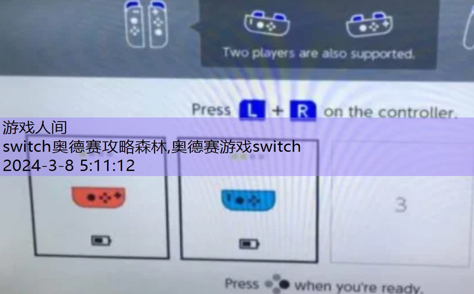 switch大乱斗怎么双人