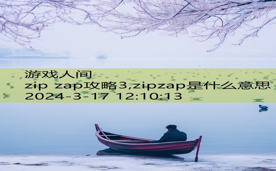 zip zap攻略3,zipzap是什么意思