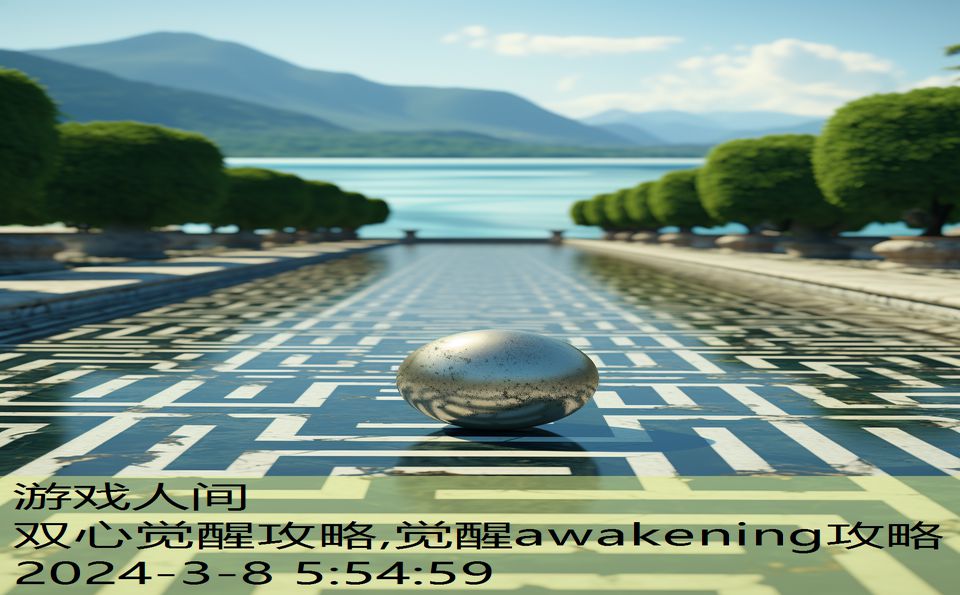 双心觉醒攻略,觉醒awakening攻略