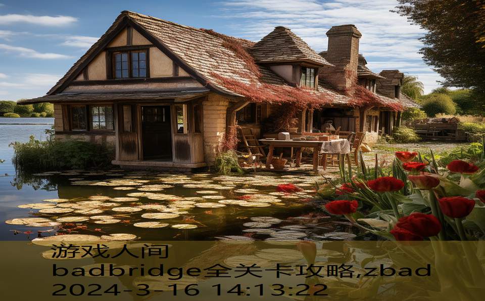 badbridge全关卡攻略,zbad