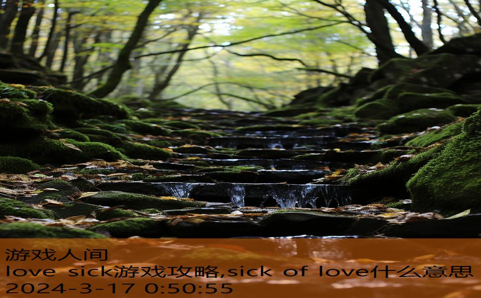 love sick游戏攻略,sick of love什么意思