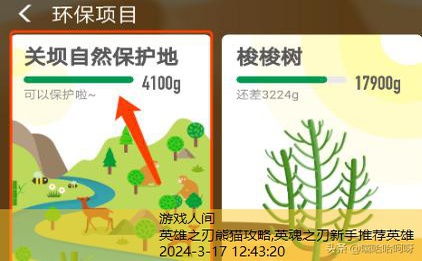 熊猫守护者怎么才能获得证书啊