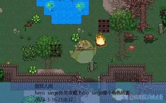 herosiege最大多少点