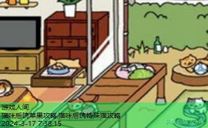 猫咪后院攻略稀有猫