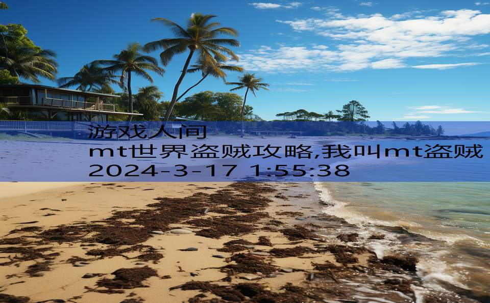 mt世界盗贼攻略,我叫mt盗贼