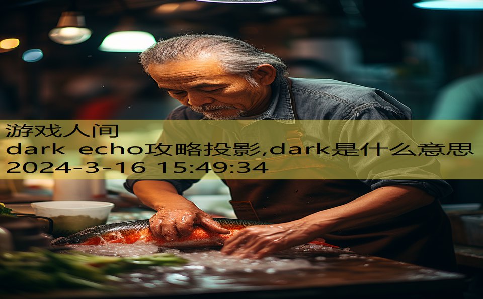 dark echo攻略投影,dark是什么意思